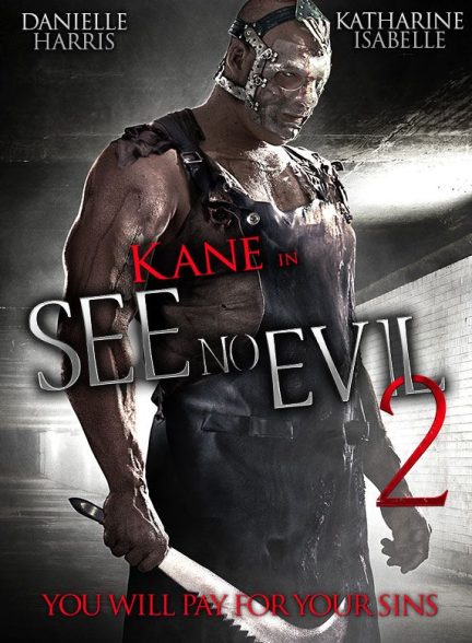 دانلود فیلم شیطان را نبین See No Evil 2 2014  l