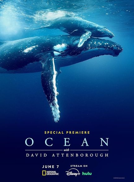 دانلود فیلم اقیانوس با دیوید آتنبورو Ocean with David Attenborough 2025 l