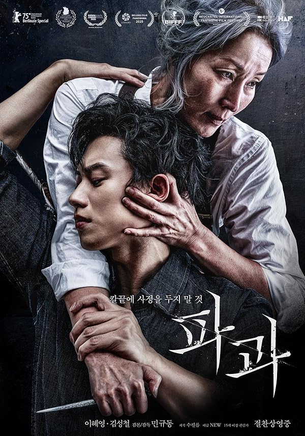 دانلود فیلم پیرزنی با چاقو The Old Woman with the Knife 2025 l
