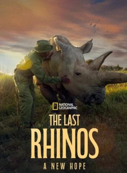 دانلود فیلم آخرین کرگدن ها: امید به بقا The Last Rhinos: A New Hope 2025 l