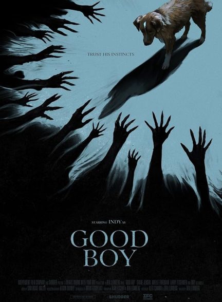 دانلود فیلم پسر خوب Good Boy 2025 l