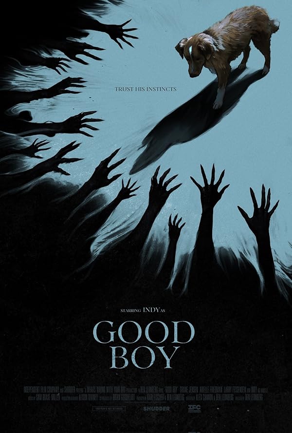 دانلود فیلم پسر خوب Good Boy 2025 l